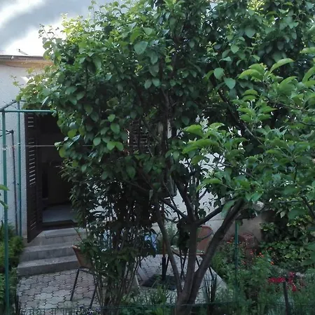 And Tomich Apartment