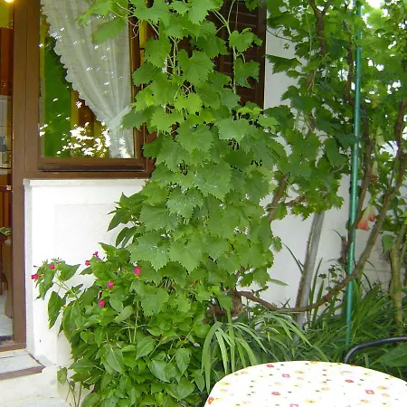 And Tomich * Mali Losinj